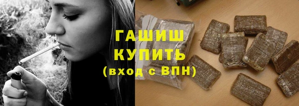 mdpv Бородино