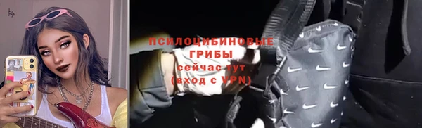 тгк Богородицк
