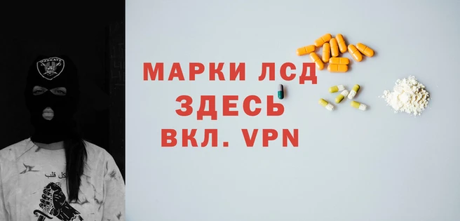 mdpv Бородино