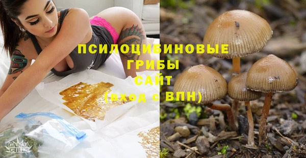 дживик Богданович